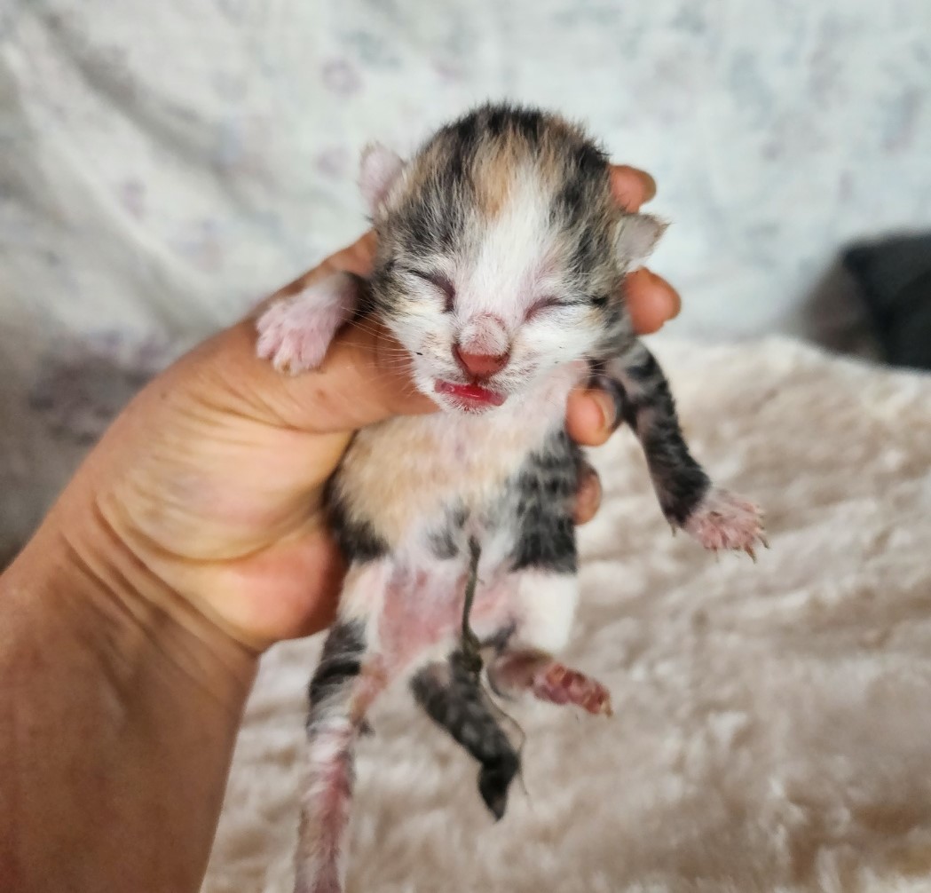 울산유기동물보호센터_431369202300278